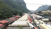 Không để trái cây, nông sản ùn ứ sát tết