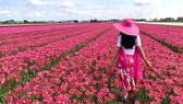 Hội hoa Keukenhof 2020: Đón khách online
