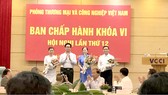 Ông Lê Viết Hải tham gia Ban Chấp hành VCCI khóa VI