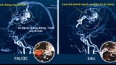 Ảnh chụp CT trước và sau khi phẫu thuật