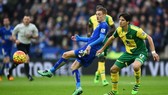 Nhận định Leicester – Norwich: Khoảng cách mong manh (Mới cập nhật)