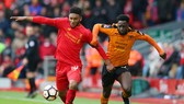 Nhận định Liverpool – Wolves: Triệt hạ Bầy Sói (Mới cập nhật)