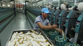 Các quý còn lại trong năm sẽ phải tăng trưởng cao hơn kịch bản mới đảm bảo đạt mục tiêu