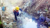 Vi phạm Luật Bảo vệ môi trường có thể phải lao động công ích