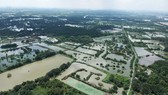 Đất nông nghiệp tại một huyện ở TPHCM. Ảnh: THÀNH TRÍ