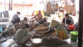 Theo Tổng cục Thống kê, tỷ lệ lao động bị ảnh hưởng trong khu vực nông, lâm nghiệp và thủy sản là 27%