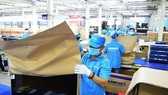 Khởi tố vụ công ty "ma" nhập hàng từ Trung Quốc gắn mác Asanzo