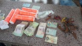 Liên tiếp triệt phá sòng bạc, trường gà trong rừng tràm và vườn điều ở tỉnh Đồng Nai