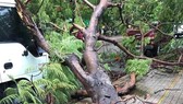 Hiện trường vụ việc