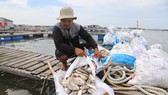 Nhiều hộ nuôi liên tục vớt cá chết. Ảnh: VŨ PHONG