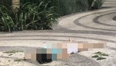 Chung cư Sunview Town, quận Thủ Đức nơi xảy ra vụ việc. Ảnh: CHÍ THẠCH