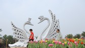 Dịp Tết thưởng thức “Bản giao hưởng mùa xuân” lung linh tại Ecopark