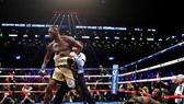 Deontay Wilder sau khi đấm gục Bermane Stiverne