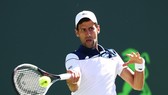 Novak Djokovic phải trải qua trận thua thứ 3 liên tiếp trong mùa