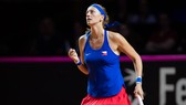 Cánh chom không mỏi Kvitova