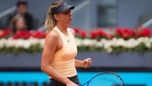 Maria Sharapova đã tìm lại được thói quen chiến thắng