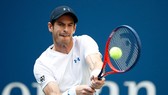 Andy Murray trong trận thua Fernando Verdasco