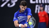 Djokovic vào bán kết lần thứ 7