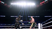 Trận tái chiến Wilder - Fury vẫn chưa thể diễn ra