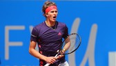 Zverev ở BMW Open