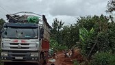 Cúp nhầm cầu dao, thanh niên bị điện giật tử vong