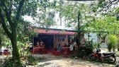 Đi lấy mật, người đàn ông bị ong đốt tử vong