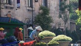 Nhiều cảnh quan mới được khu du lịch tu bổ trong thời gian ngừng đón khách vừa qua
