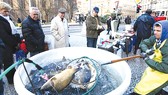 Người Czech chọn mua cá chép trong dịp Giáng sinh