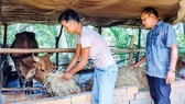 Trà Vinh - điểm sáng giảm nghèo