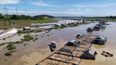 Quản lý, sắp xếp ổn định vùng nuôi cá bè trên hồ Trị An