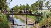 Nhiều dòng kênh ở huyện Gò Công Tây (Tiền Giang) đã cạn nước. Ảnh: ĐĂNG NGUYÊN