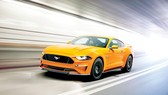 Sở hữu danh mục phiên bản đa dạng nhất lịch sử: Ford Mustang đạt danh hiệu xe thể thao bán chạy số một thế giới