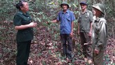 Cuộc chiến giữ rừng Mã Đà