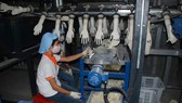 Bên trong dây chuyền sản xuất của Công ty VRG-Khải Hoàn