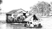 Du khách trải nghiệm Vườn Quốc gia Tràm Chim