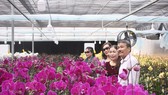 Sa Mù thu hút du khách cùng thương lái dịp cuối năm.