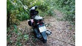 Vào rừng hái măng, 2 chị em mất tích