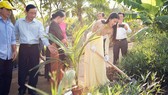 Hoa hậu Phương Khánh trở thành Đại sứ du lịch tỉnh Bến Tre