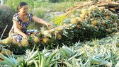 Đánh thức tiềm năng du lịch tỉnh Hậu Giang