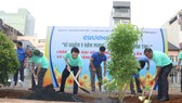 Quận 5 ra quân dọn vệ sinh, trồng cây, tặng cây cho người dân