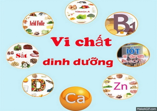 Bổ sung vi chất dinh dưỡng vào thực phẩm chế biến