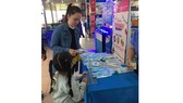 Đẩy mạnh sản xuất khẩu trang y tế và kháng khuẩn