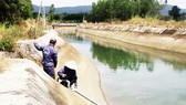 Thủy điện “cứu hạn” cho hàng trăm hécta cây trồng