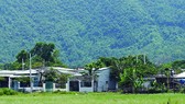 Đề nghị xử lý kiểm điểm Chủ tịch UBND quận Liên Chiểu từ năm 2005 đến nay