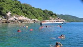 Khó quản lý giá dịch vụ tại Cù Lao Chàm