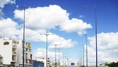 Ngưng đấu thầu dịch vụ công ích thuộc lĩnh vực chiếu sáng công cộng, cây xanh