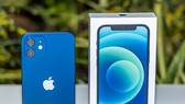 iPhone 12 với màu xanh mới