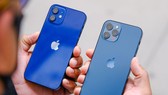 iPhone 12 có sự hấp dẫn riêng với người dùng