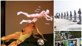 Triển lãm xác ướp được đề cử là sự kiện tồn tại của ngành mỹ thuật, nhiếp ảnh