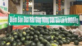 Nhiều cá nhân, đơn vị đang giúp nông dân trồng dưa hấu tiêu thụ dưa. Ảnh: LÊ NAM